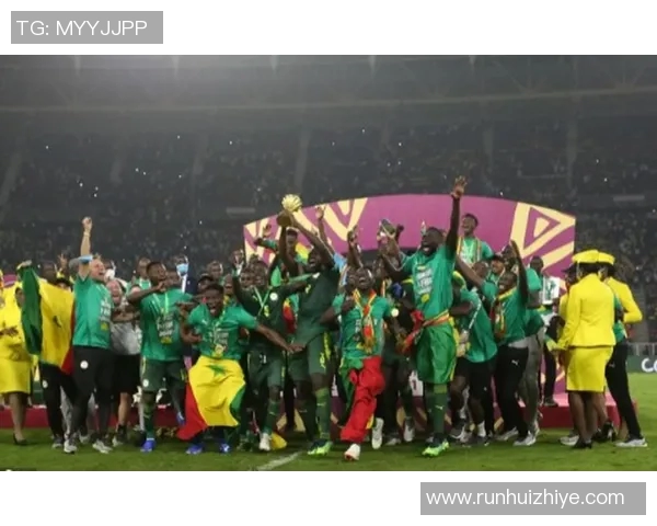 非洲足球明星闪耀赛场聚焦各国顶尖球员与历史成就